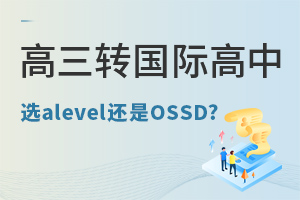 D(zhun)Hnôxxalevel߀OSSD?