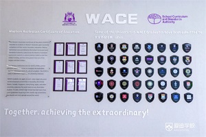 WACE߿ | w͇(gu)HL(zhng)ºףԸ(i)όW(xu)WACE߿Дث@ѿ(j)